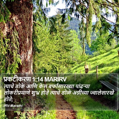 प्रकटीकरण 1:14 MARIRV Bible Verse Image