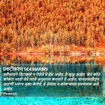 प्रकटीकरण 14:4 MARIRV Bible Verse Image