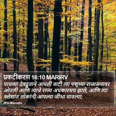 प्रकटीकरण 16:10 MARIRV Bible Verse Image