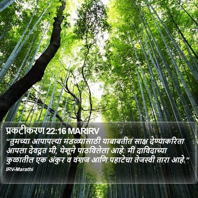 प्रकटीकरण 22:16 MARIRV Bible Verse Image