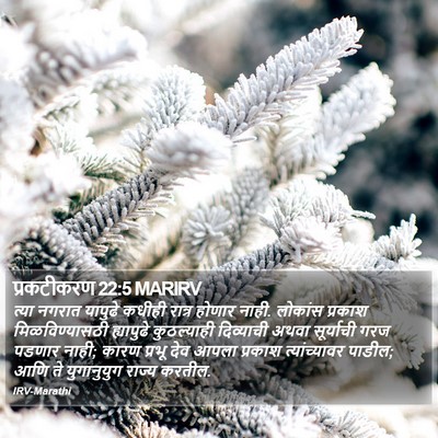 प्रकटीकरण 22:5 MARIRV Bible Verse Image