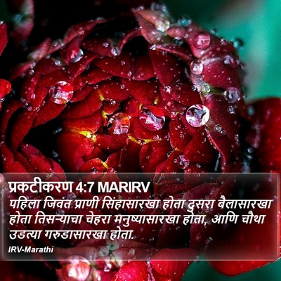 प्रकटीकरण 4:7 MARIRV Bible Verse Image
