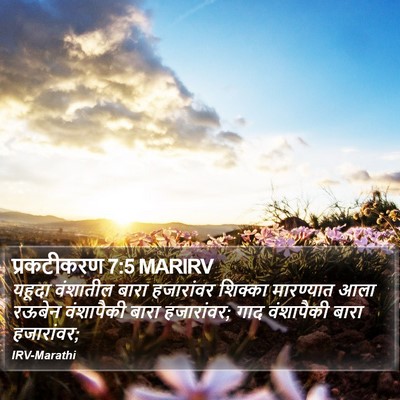 प्रकटीकरण 7:5 MARIRV Bible Verse Image
