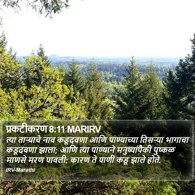 प्रकटीकरण 8:11 MARIRV Bible Verse Image