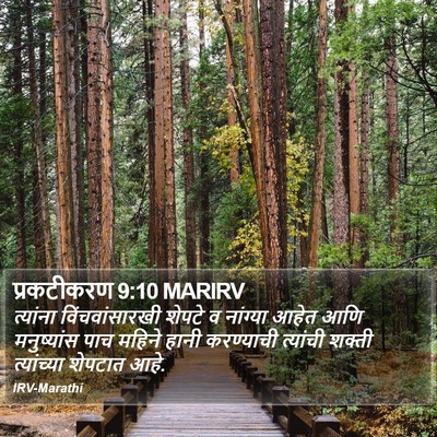 प्रकटीकरण 9:10 MARIRV Bible Verse Image