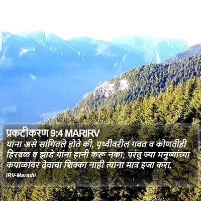 प्रकटीकरण 9:4 MARIRV Bible Verse Image