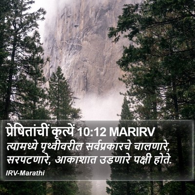 प्रेषितांचीं कृत्यें 10:12 MARIRV Bible Verse Image