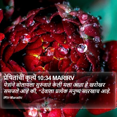प्रेषितांचीं कृत्यें 10:34 MARIRV Bible Verse Image