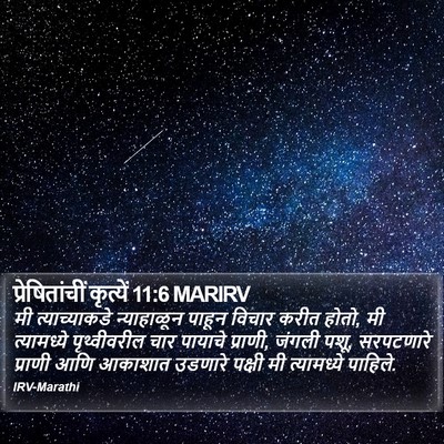 प्रेषितांचीं कृत्यें 11:6 MARIRV Bible Verse Image