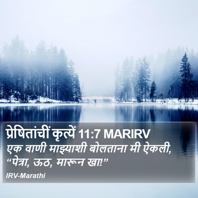 प्रेषितांचीं कृत्यें 11:7 MARIRV Bible Verse Image