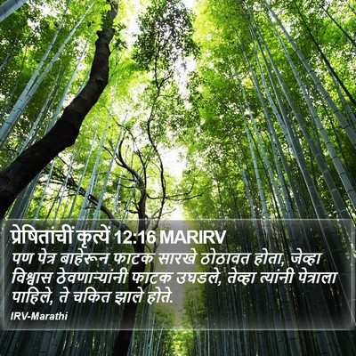 प्रेषितांचीं कृत्यें 12:16 MARIRV Bible Verse Image