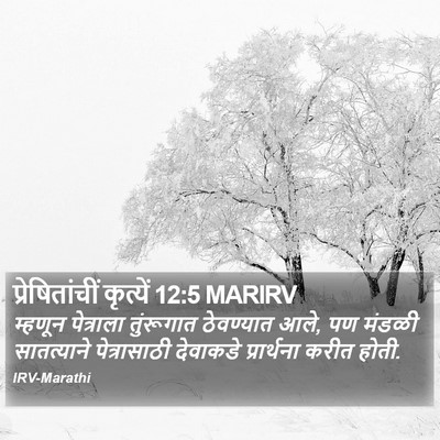 प्रेषितांचीं कृत्यें 12:5 MARIRV Bible Verse Image