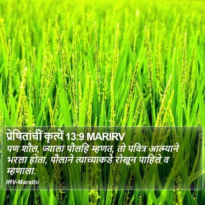 प्रेषितांचीं कृत्यें 13:9 MARIRV Bible Verse Image
