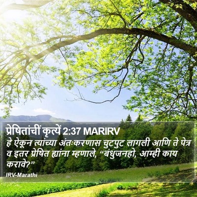 प्रेषितांचीं कृत्यें 2:37 MARIRV Bible Verse Image
