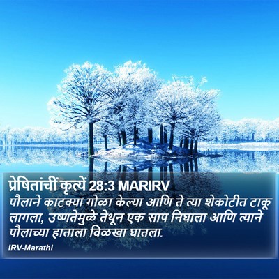 प्रेषितांचीं कृत्यें 28:3 MARIRV Bible Verse Image