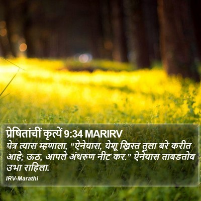प्रेषितांचीं कृत्यें 9:34 MARIRV Bible Verse Image