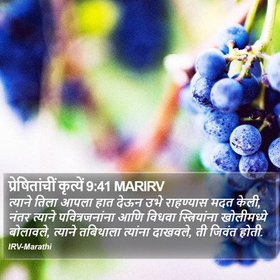 प्रेषितांचीं कृत्यें 9:41 MARIRV Bible Verse Image