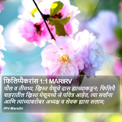 फिलिप्पैकरांस 1:1 MARIRV Bible Verse Image