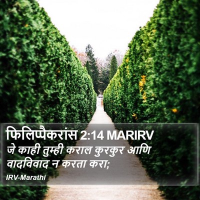 फिलिप्पैकरांस 2:14 MARIRV Bible Verse Image