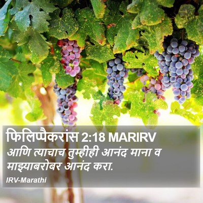 फिलिप्पैकरांस 2:18 MARIRV Bible Verse Image