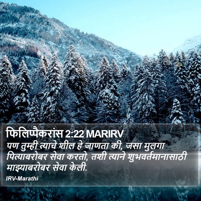 फिलिप्पैकरांस 2:22 MARIRV Bible Verse Image