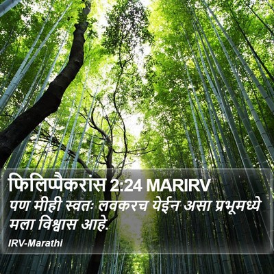 फिलिप्पैकरांस 2:24 MARIRV Bible Verse Image