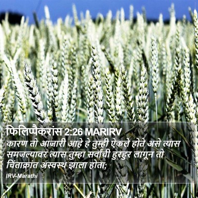 फिलिप्पैकरांस 2:26 MARIRV Bible Verse Image