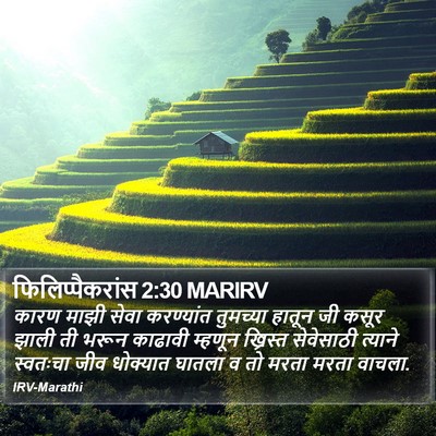 फिलिप्पैकरांस 2:30 MARIRV Bible Verse Image