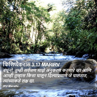 फिलिप्पैकरांस 3:17 MARIRV Bible Verse Image