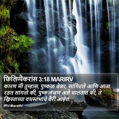 फिलिप्पैकरांस 3:18 MARIRV Bible Verse Image