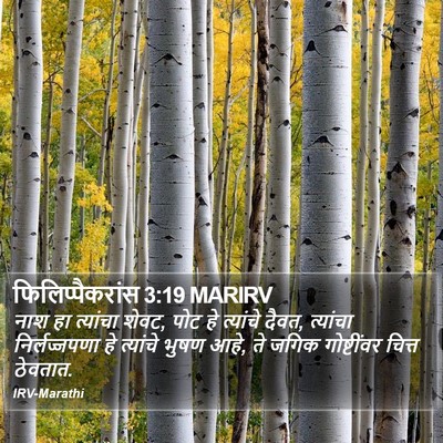 फिलिप्पैकरांस 3:19 MARIRV Bible Verse Image