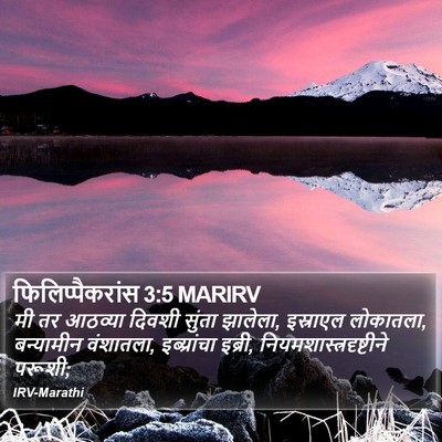 फिलिप्पैकरांस 3:5 MARIRV Bible Verse Image