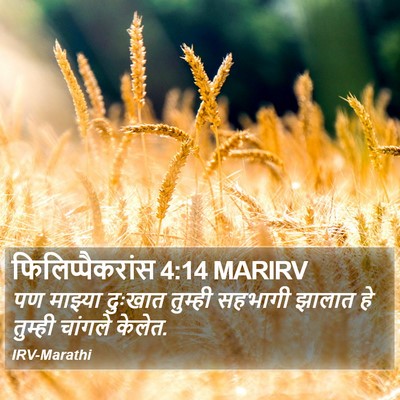 फिलिप्पैकरांस 4:14 MARIRV Bible Verse Image