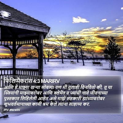 फिलिप्पैकरांस 4:3 MARIRV Bible Verse Image