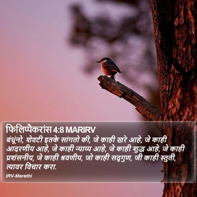 फिलिप्पैकरांस 4:8 MARIRV Bible Verse Image