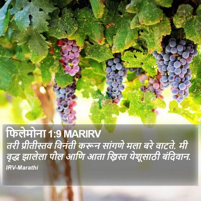फिलेमोना 1:9 MARIRV Bible Verse Image
