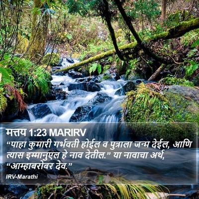 मत्तय 1:23 MARIRV Bible Verse Image