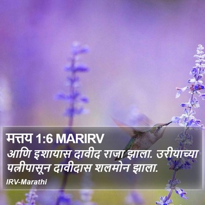 मत्तय 1:6 MARIRV Bible Verse Image