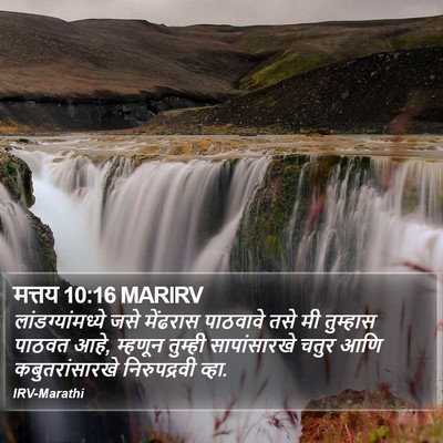 मत्तय 10:16 MARIRV Bible Verse Image