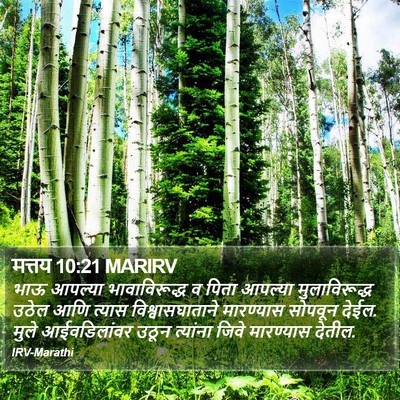 मत्तय 10:21 MARIRV Bible Verse Image