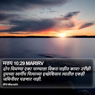 मत्तय 10:29 MARIRV Bible Verse Image