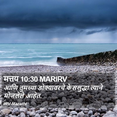 मत्तय 10:30 MARIRV Bible Verse Image