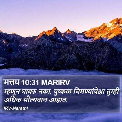 मत्तय 10:31 MARIRV Bible Verse Image