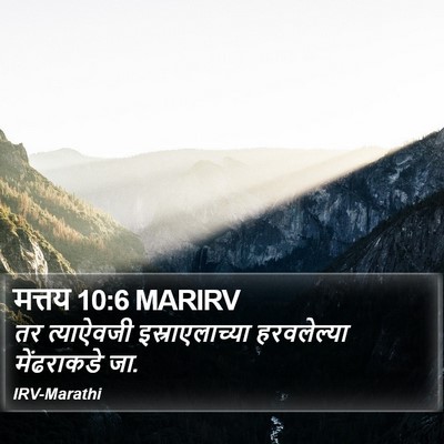मत्तय 10:6 MARIRV Bible Verse Image
