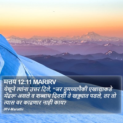 मत्तय 12:11 MARIRV Bible Verse Image