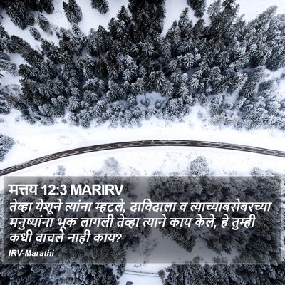 मत्तय 12:3 MARIRV Bible Verse Image