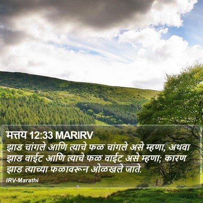 मत्तय 12:33 MARIRV Bible Verse Image