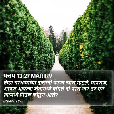 मत्तय 13:27 MARIRV Bible Verse Image