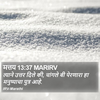 मत्तय 13:37 MARIRV Bible Verse Image