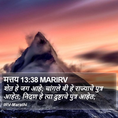 मत्तय 13:38 MARIRV Bible Verse Image